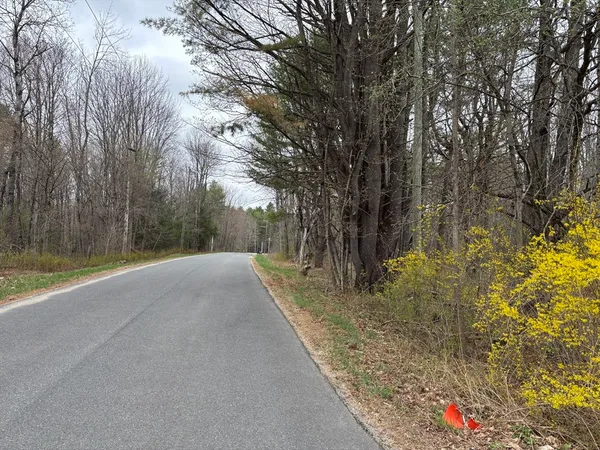 a view of a yard with large trees