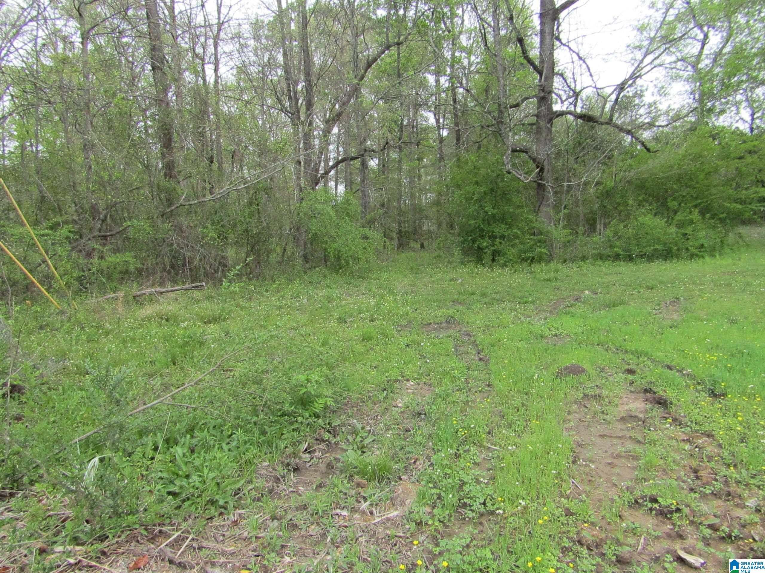 7361 Abernathy Road, Unit 1 McCalla, AL 35111 - Photo 6 of 9
