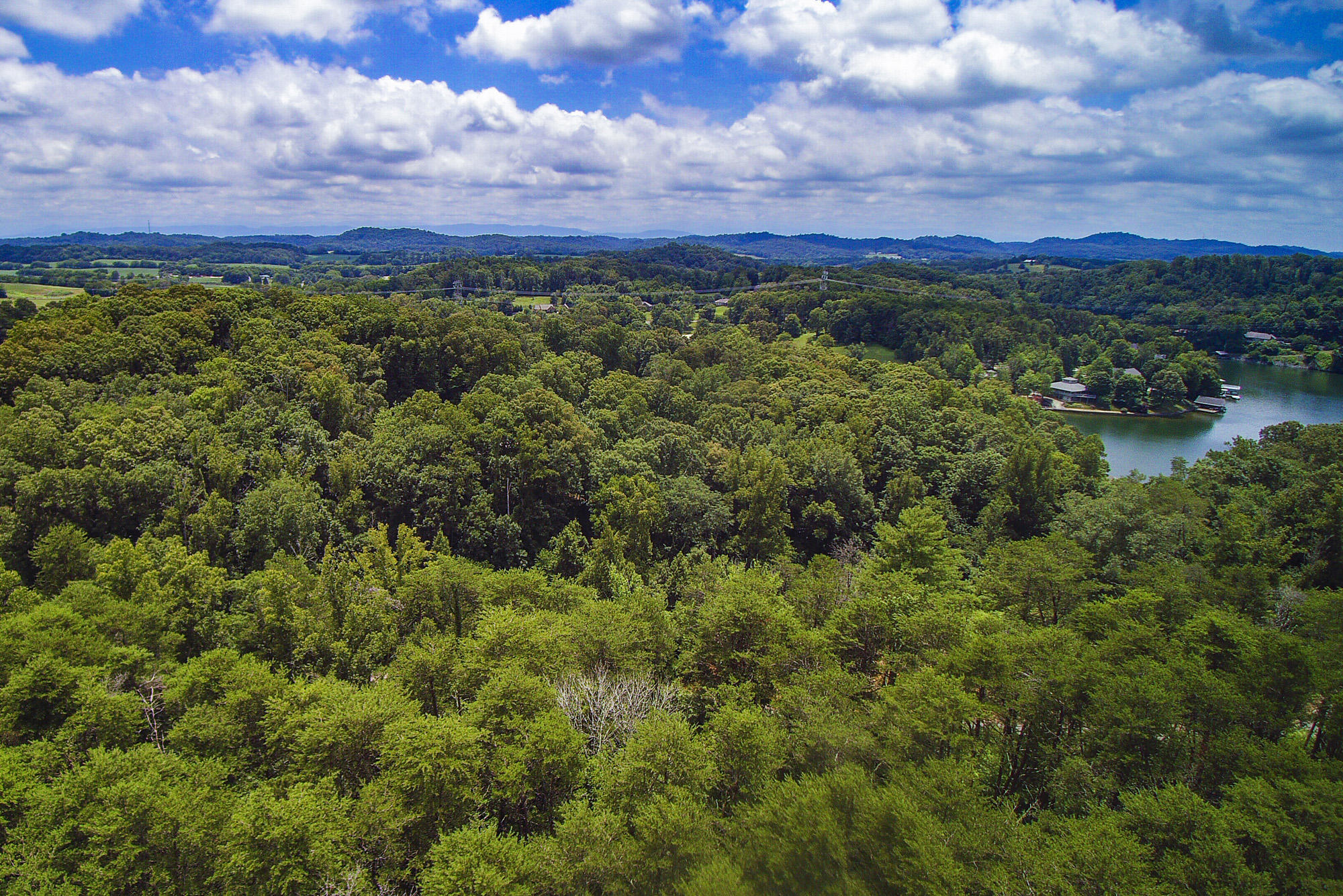 165 Bluffton Road Friendsville, TN 37737 - Photo 2 of 12 YUN00001