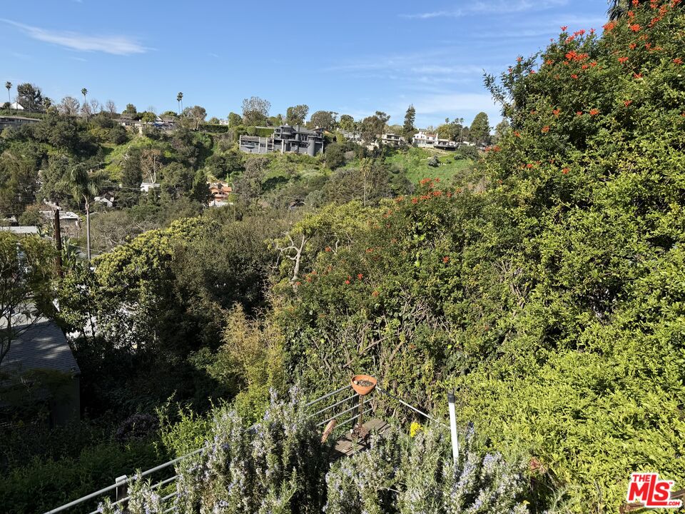 439 Mesa Road Santa Monica, CA 90402 - Photo 12 of 20 a view of a bunch of trees