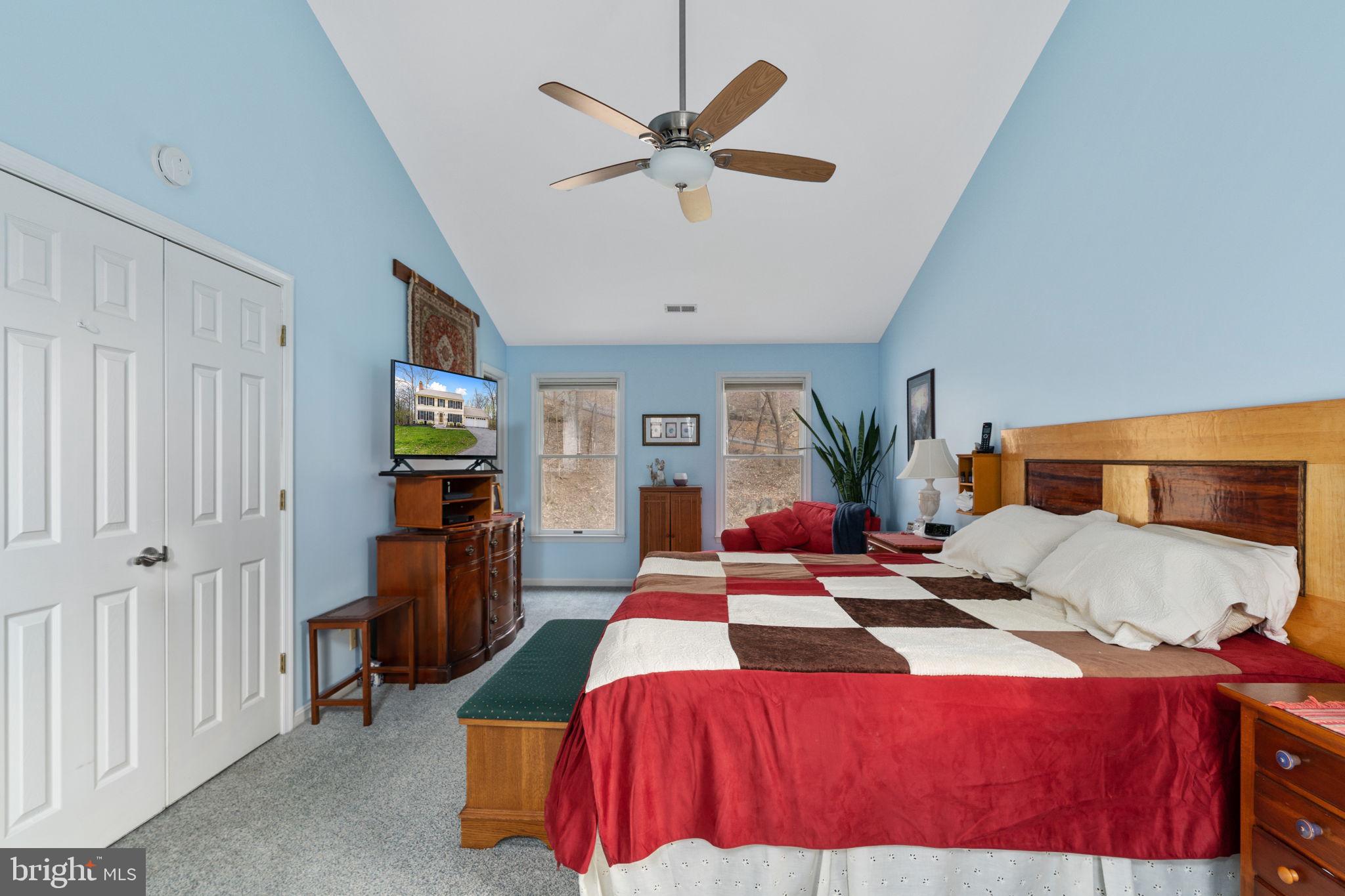 519 Delicious Road Linden, VA 22642 - Photo 11 of 27 Master BR Boasts Vaulted Ceiling