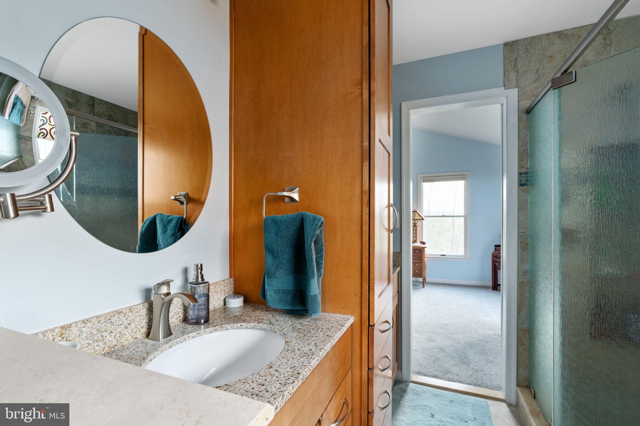 519 Delicious Road Linden, VA 22642 - Photo 13 of 27 Master Bath View 2