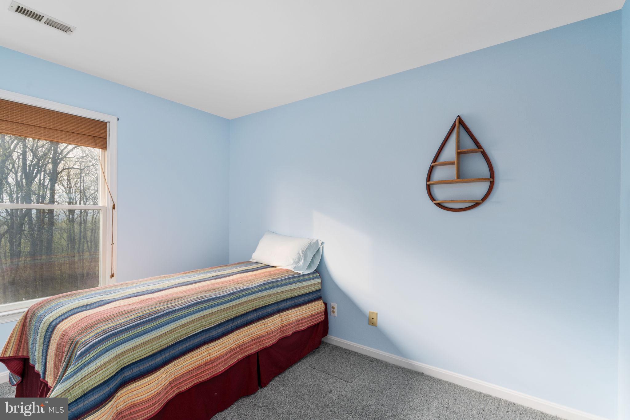 519 Delicious Road Linden, VA 22642 - Photo 15 of 27 Bedroom 3