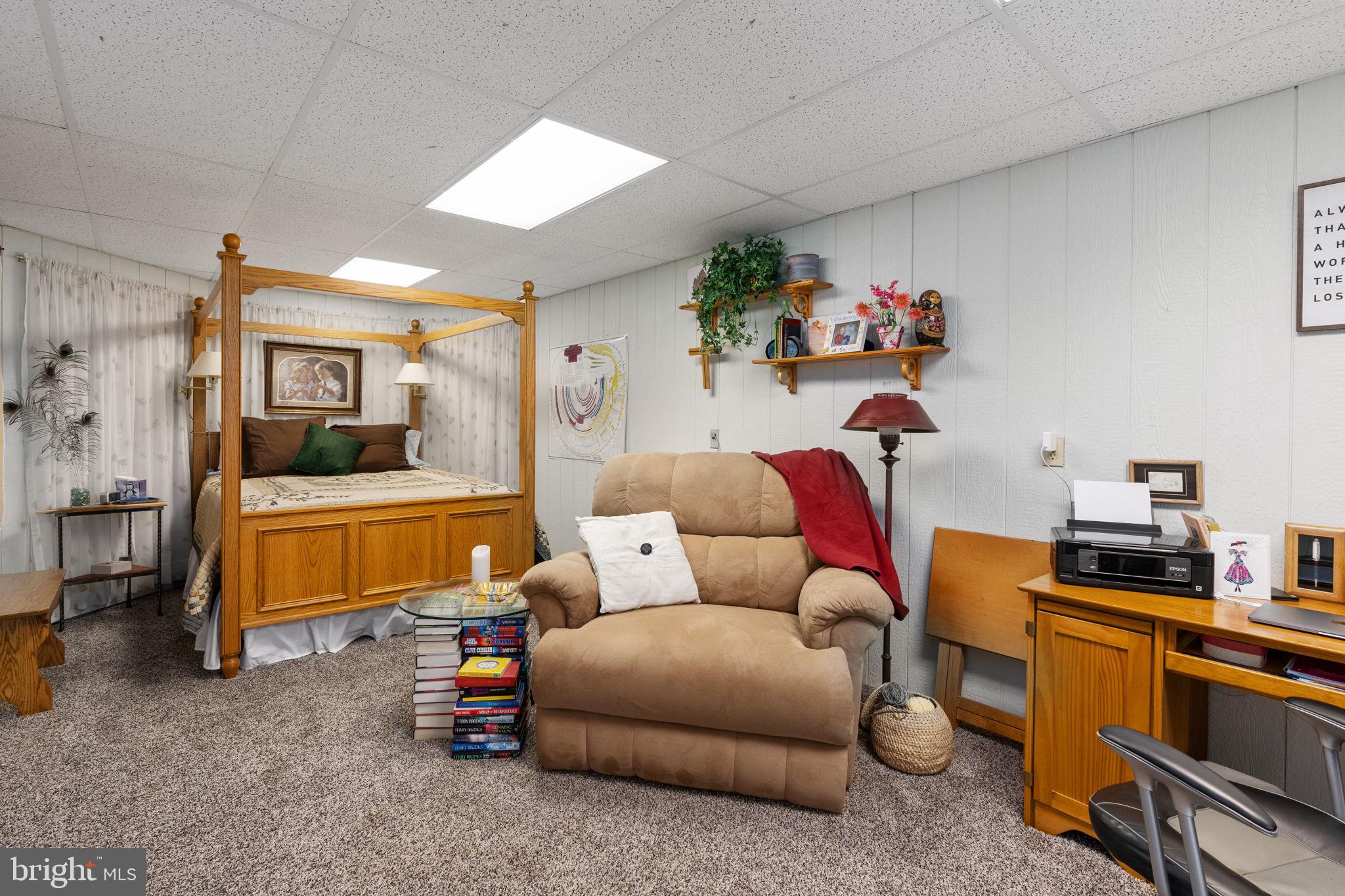 519 Delicious Road Linden, VA 22642 - Photo 17 of 27 4th BR in the Basement