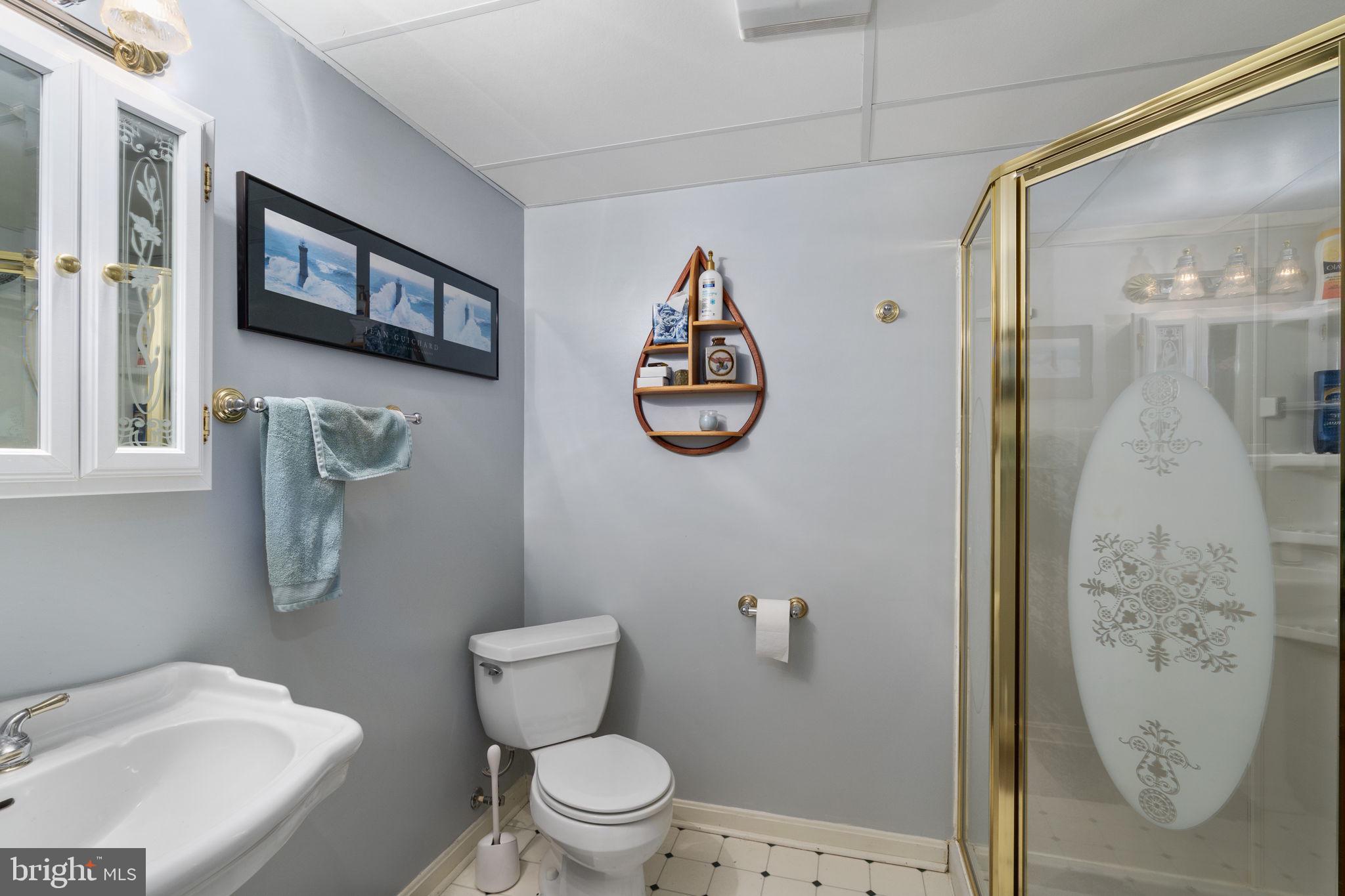 519 Delicious Road Linden, VA 22642 - Photo 18 of 27 Basement Full Bath