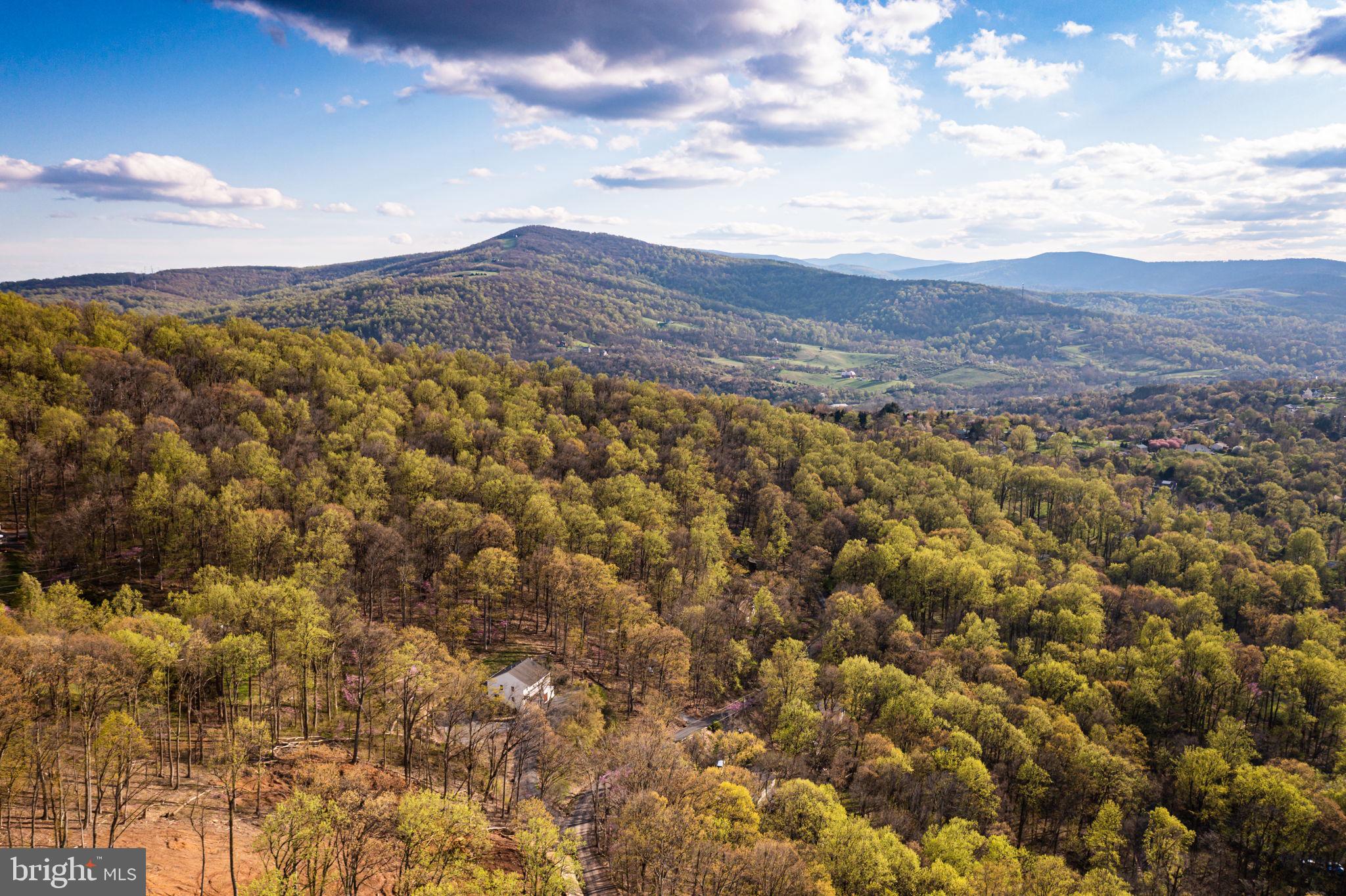 Look at those views!