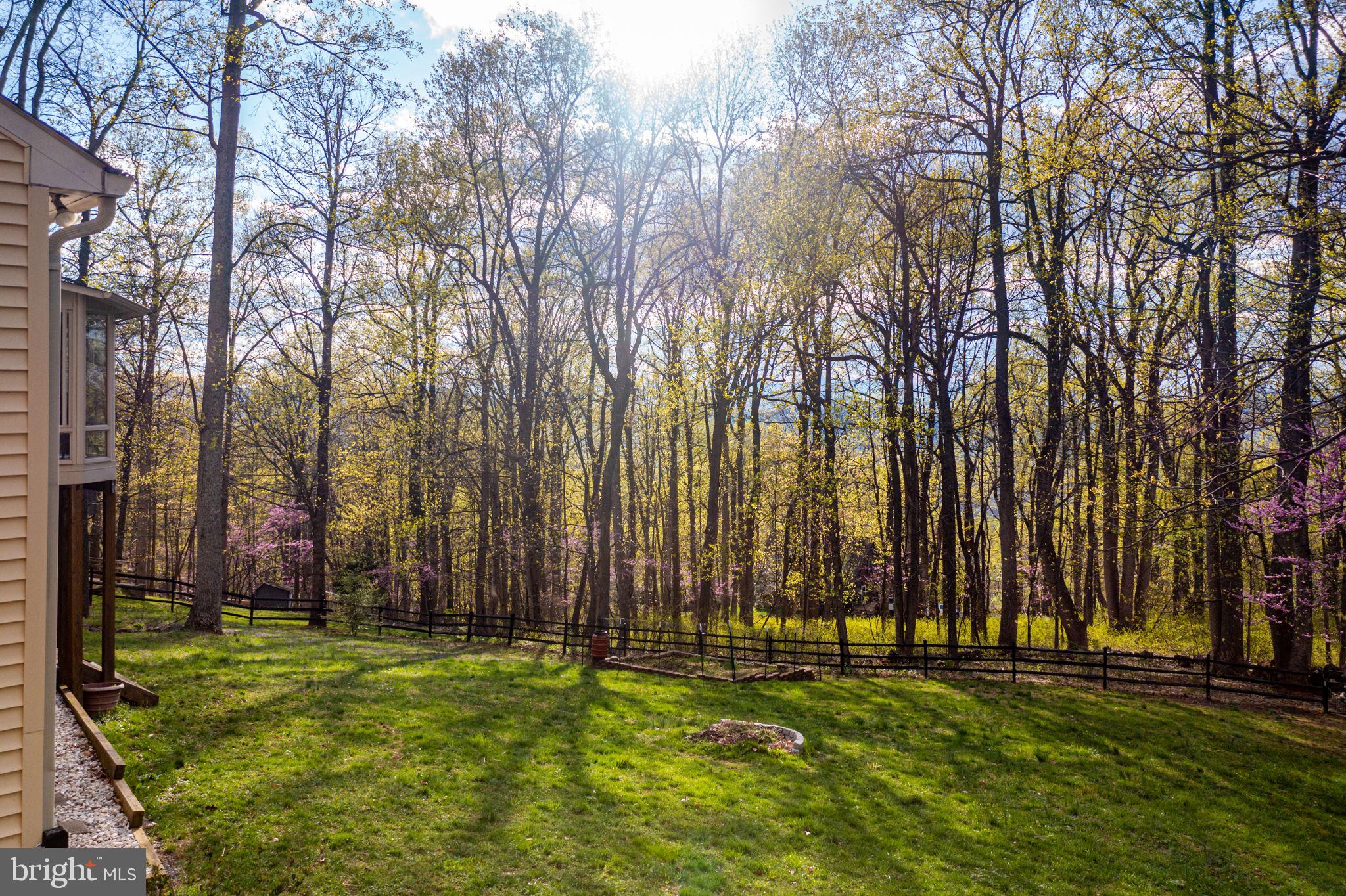 519 Delicious Road Linden, VA 22642 - Photo 24 of 27 Huge Fenced Backyard