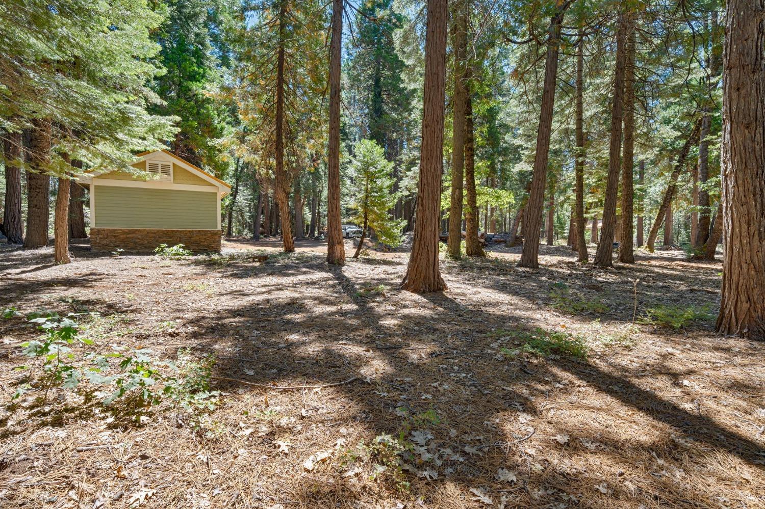 740 Hideaway Loop Alta, CA 95701 - Photo 57 of 74