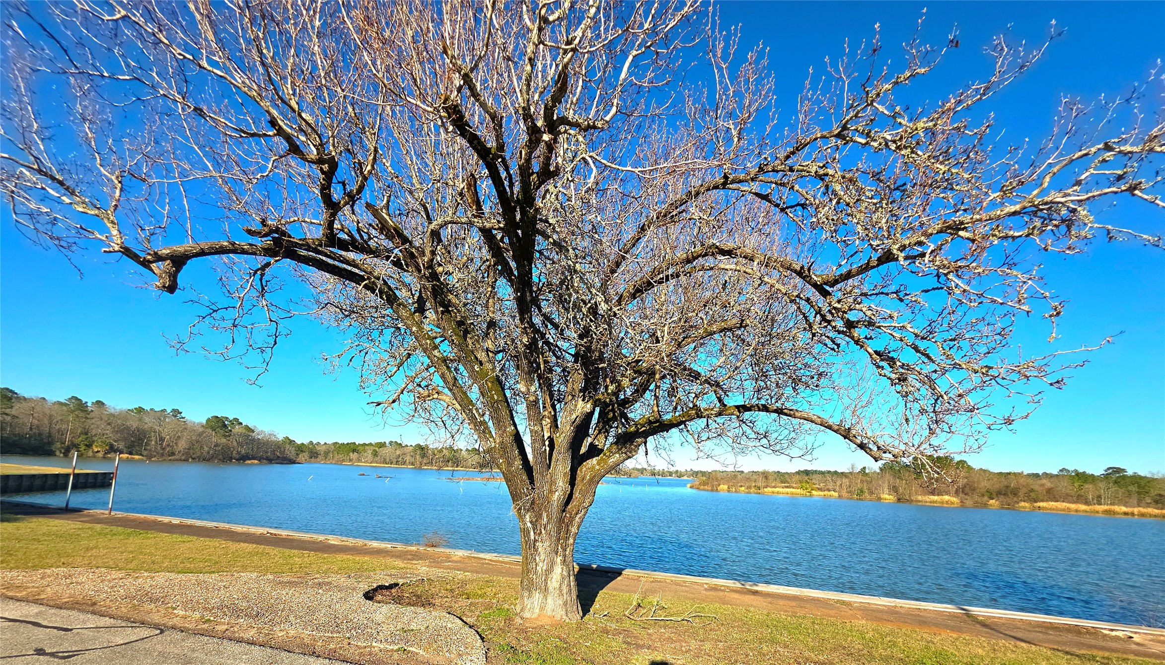 Tbd Tbd Waterwood Bay Road Point Blank, TX 77364 - Photo 14 of 16 a view of swimming pool with an outdoor space and seating area