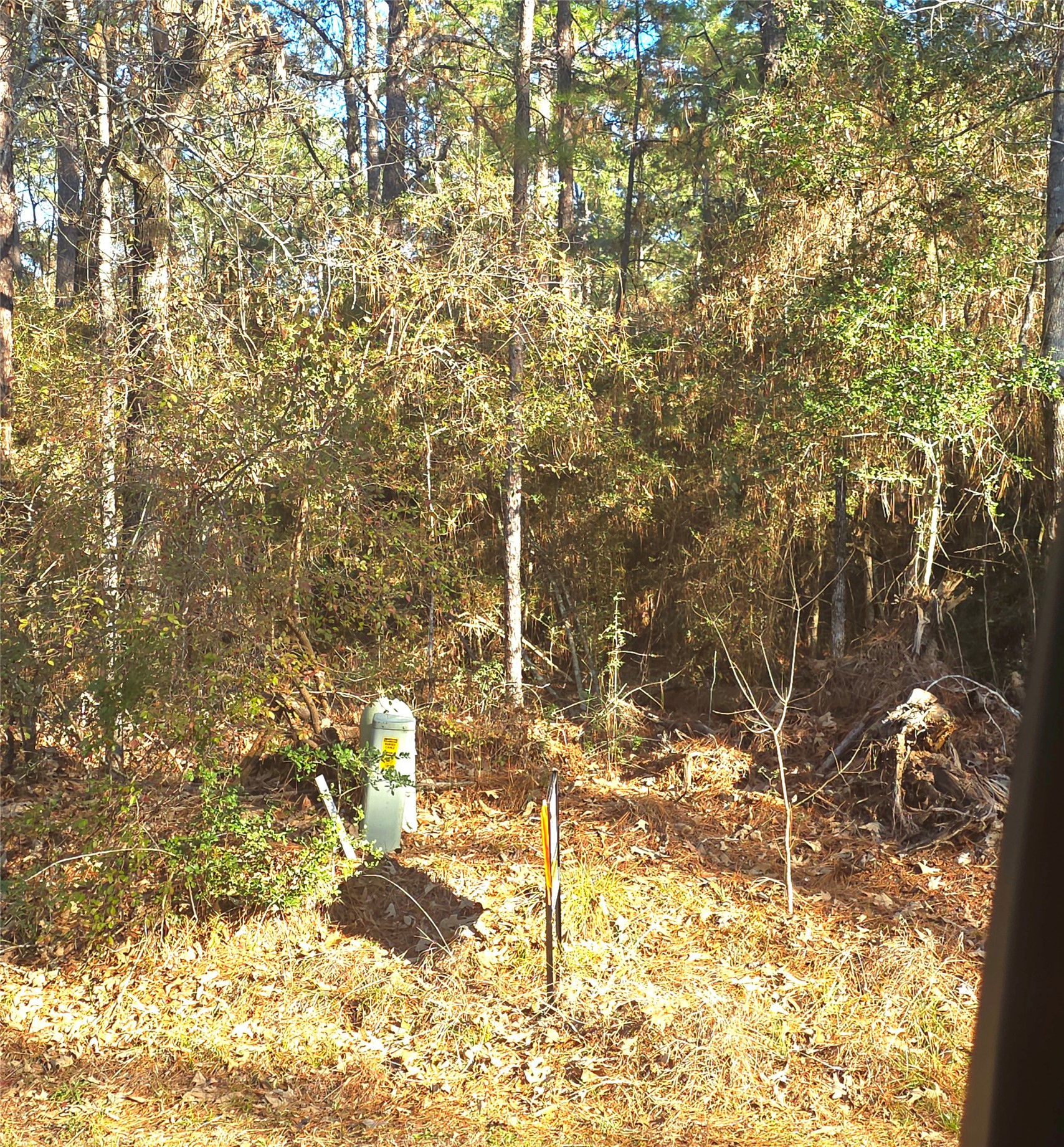 Tbd Tbd Waterwood Bay Road Point Blank, TX 77364 - Photo 3 of 16 a view of empty yard