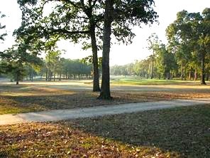 Tbd Tbd Waterwood Bay Road Point Blank, TX 77364 - Photo 5 of 16 a view of a yard with large trees