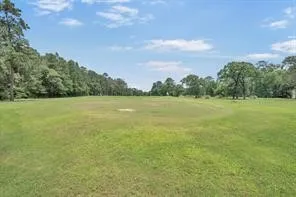 a view of a field with an ocean