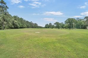 Tbd Tbd Waterwood Bay Road Point Blank, TX 77364 - Photo 6 of 16 a view of a field with an ocean