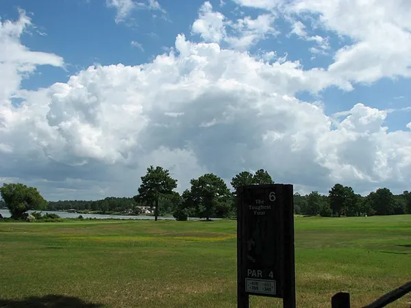 a view of a golf course with a garden