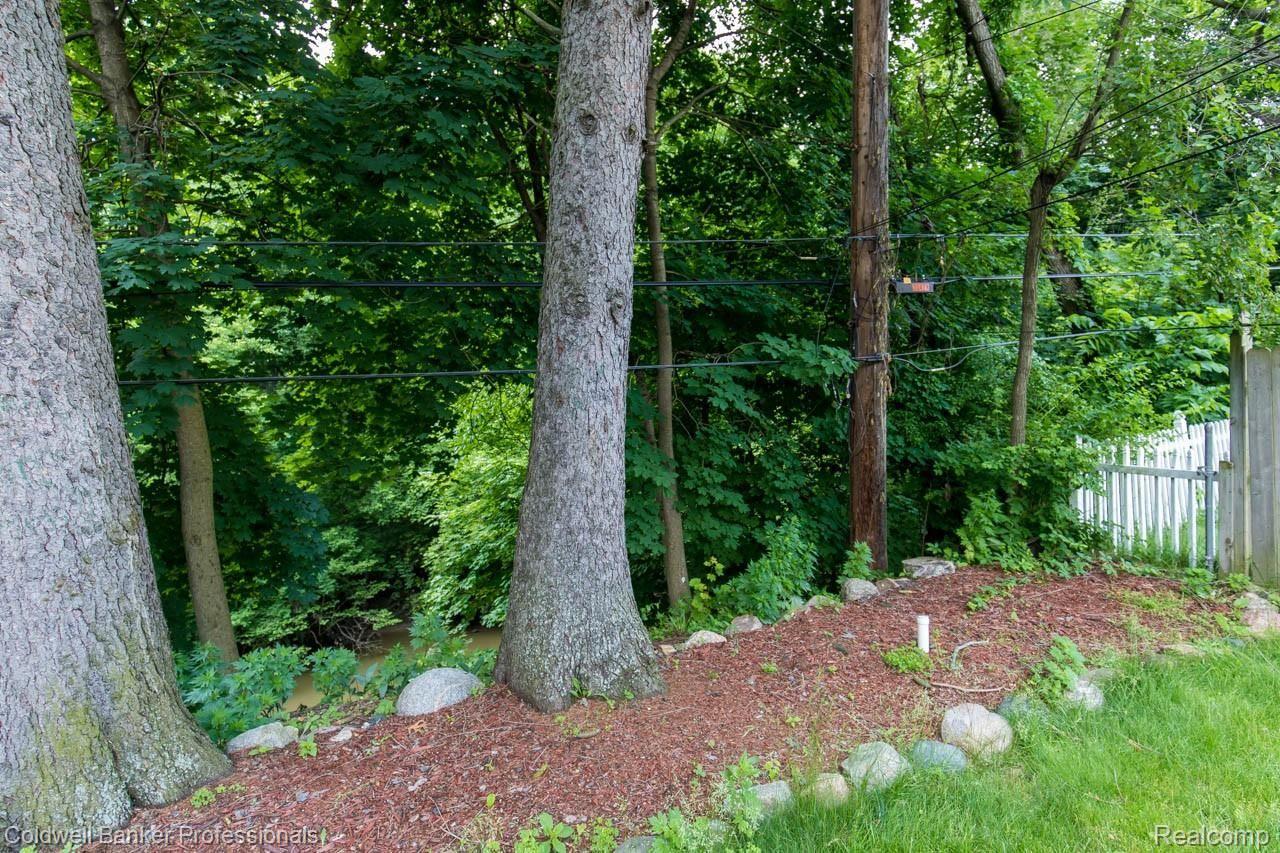 3342 Pershing Street Wayne, MI 48184 - Photo 7 of 32 Property backs to the river