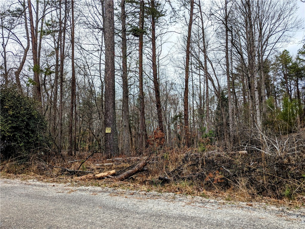 206 Hughes Bend Road Central, SC 29630 - Photo 3 of 3