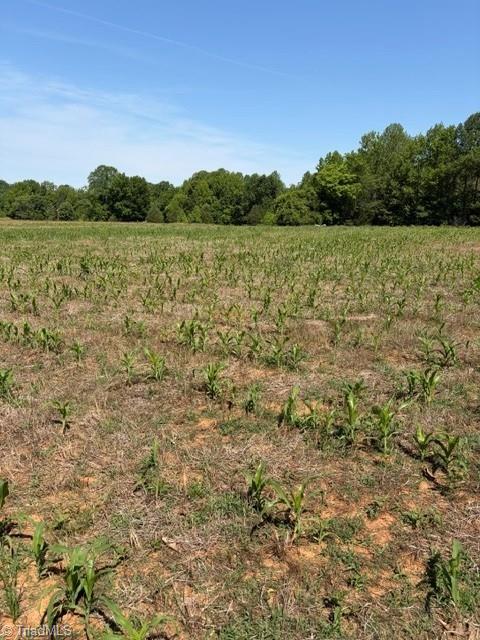 467 Crousetown Road Lexington, NC 27292 - Photo 1 of 11