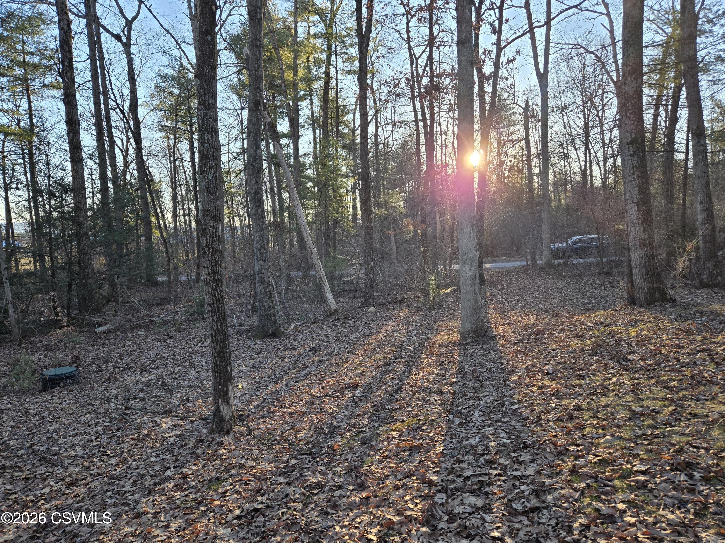 Lot 4 Diehl Road Mifflinburg, PA 17844 - Photo 6 of 10
