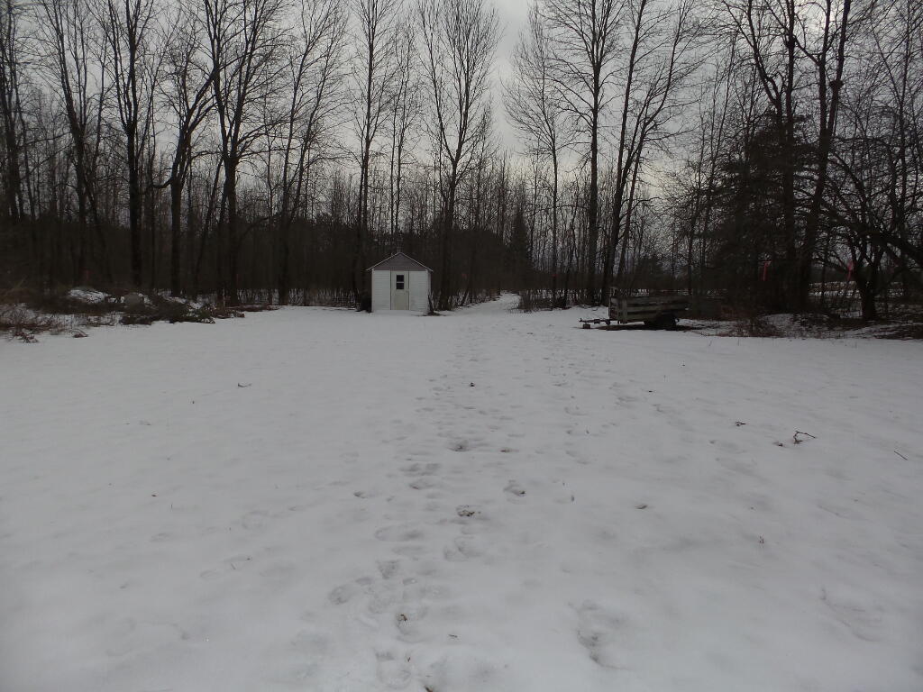 323 Neck Road Benton, ME 04901 - Photo 21 of 23 Backyard