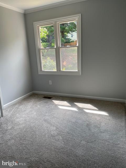 8333 Moline Place Springfield, VA 22153 - Photo 19 of 30 Gallery Image 19