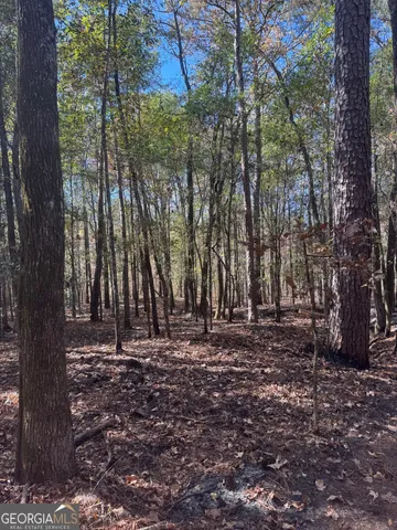 a view of outdoor space with trees