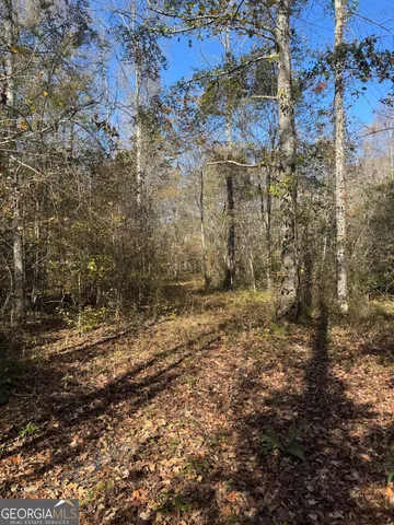 a view of a yard with lots of bushes