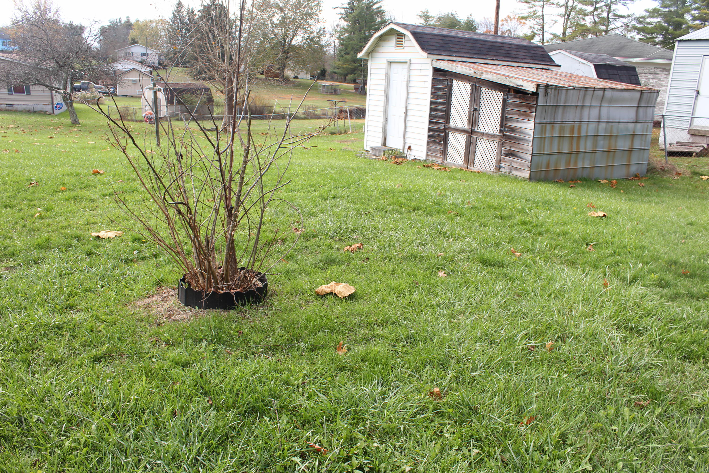 1496 Robin Roost Road Jumping Branch, WV 25969 - Photo 19 of 19 Gallery Image 19