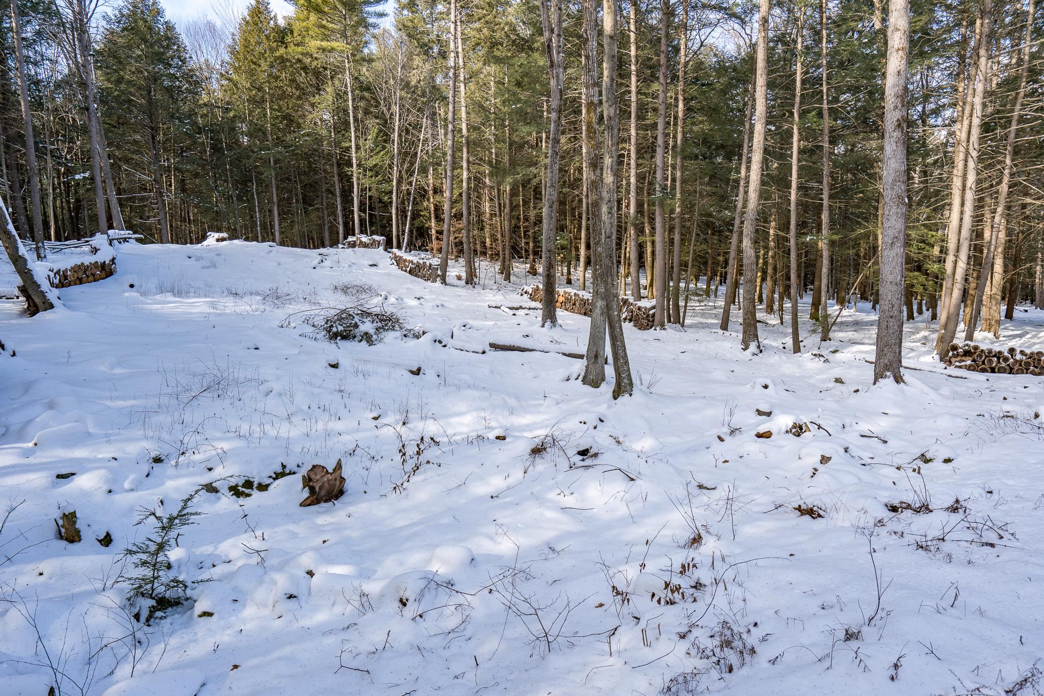 95 Beech Hill Road Weare, NH 03281 - Photo 33 of 40