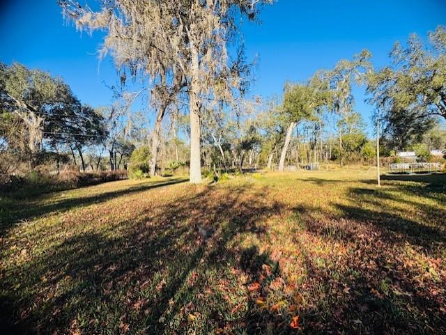 11417 Southwest 42nd Terrace Webster, FL 33597 - Photo 23 of 33