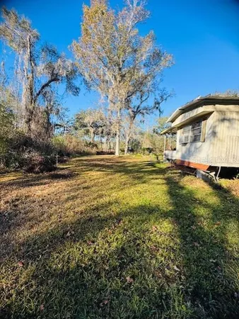 a view of a yard with a tree