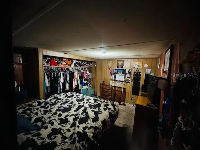 a view of a park with large trees