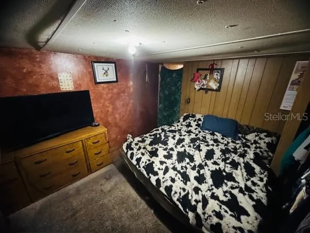 a view of a yard with trees