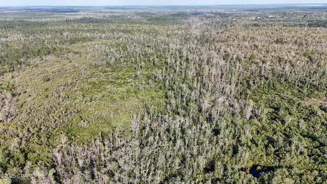 $49,900 | 0 Timberland Road, Fountain, FL 32438