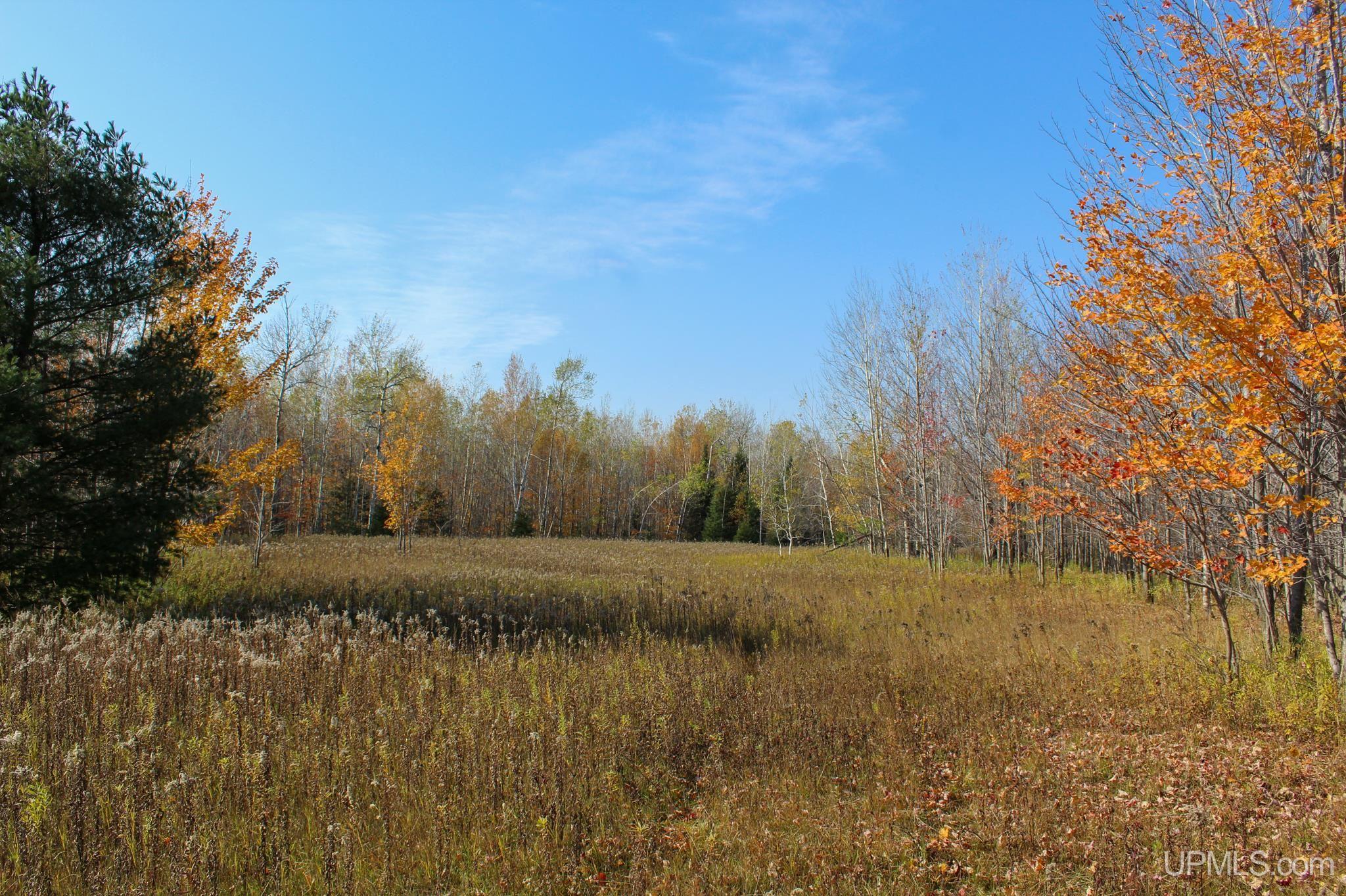 Tbd Pike River Road Chassell, MI 49916 - Photo 21 of 57 Gallery Image 21