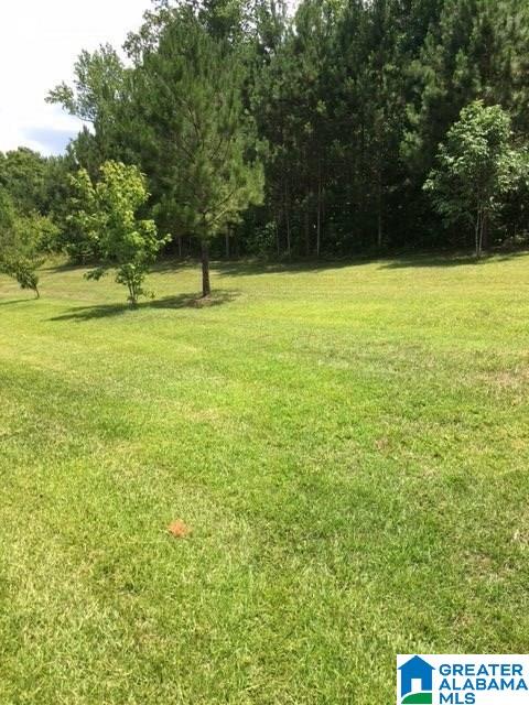 17220 Highway 46 Ranburne, AL 36273 - Photo 4 of 19