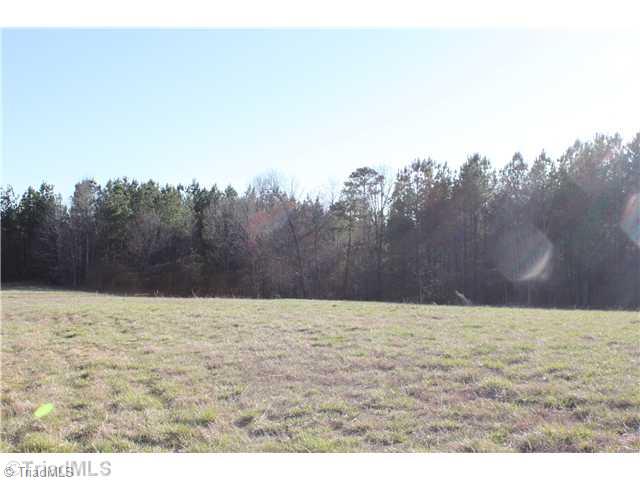 2008-3 McKinley Road, Unit LOT 3 Traphill, NC 28685 - Photo 3 of 3 Exterior Front.