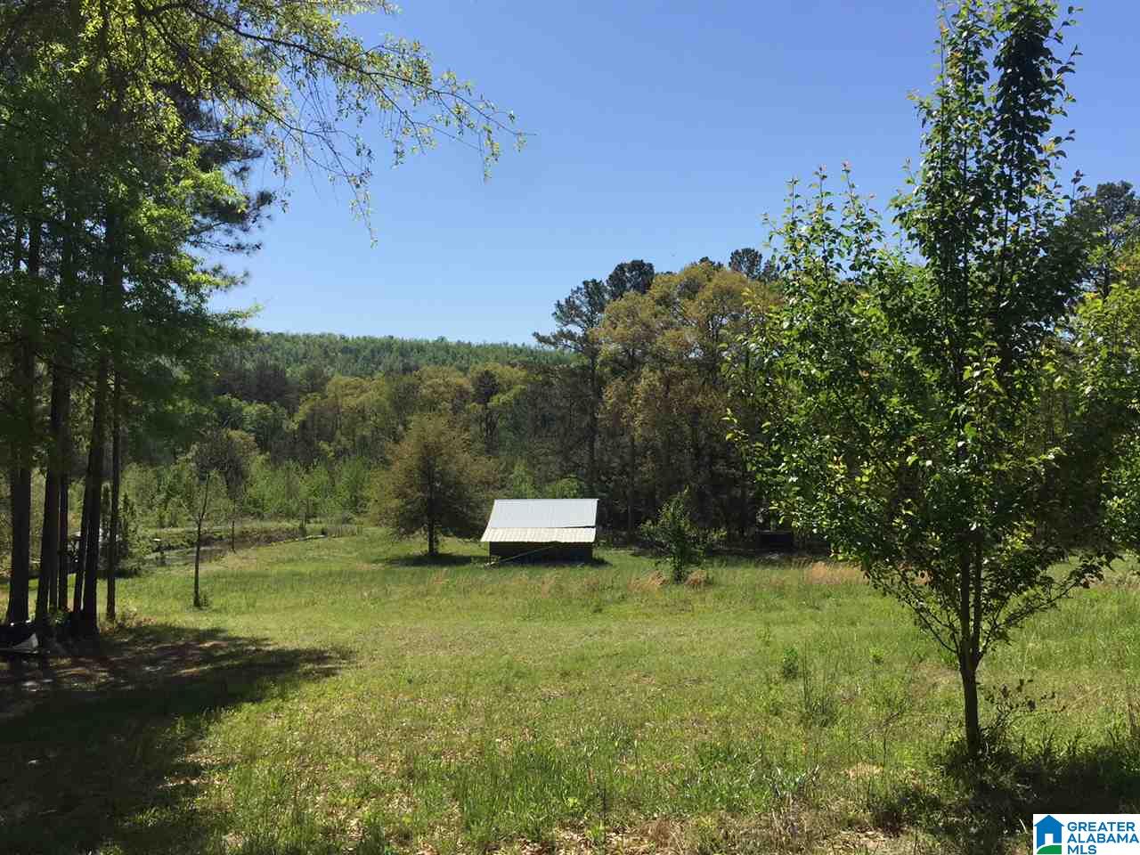 401 Shoal Creek Road Ashville, AL 35953 - Photo 1 of 11