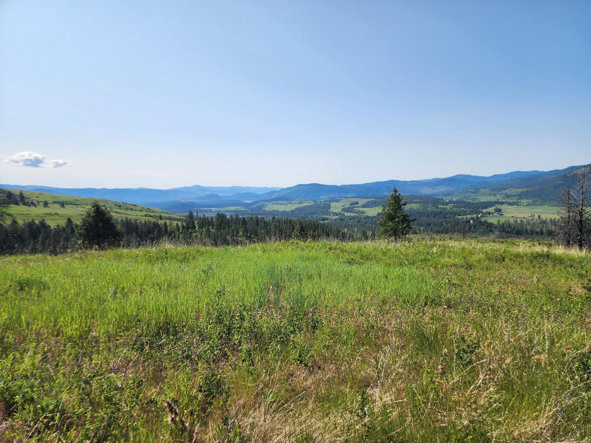 Xxx Hall Creek Road Inchelium, WA 99138 - Photo 11 of 22 Gallery Image 11