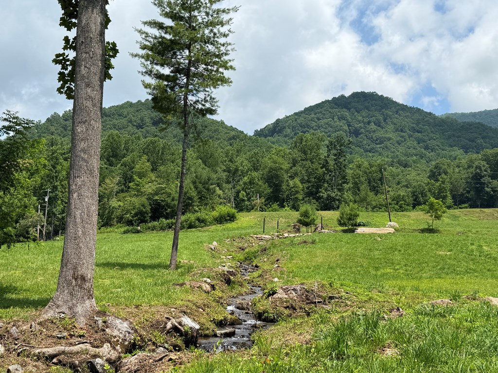 1446 Muskrat Creek Road Hayesville, NC 28904 - Photo 14 of 108