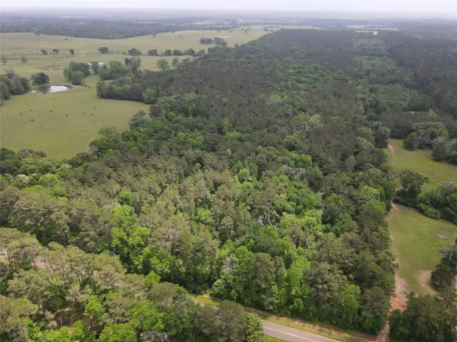 an aerial view of mountain with trees