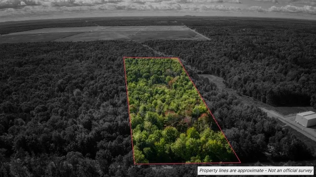 $99,000 | 10.32-acres Bighorn Drive, Arkdale, WI 54613