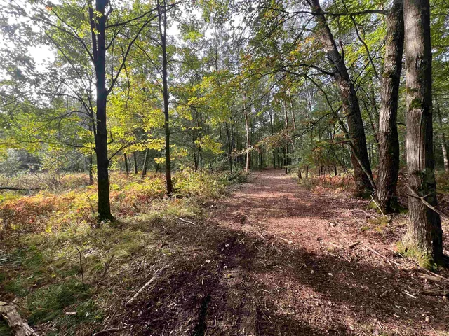 $99,000 | 10.32-acres Bighorn Drive, Arkdale, WI 54613