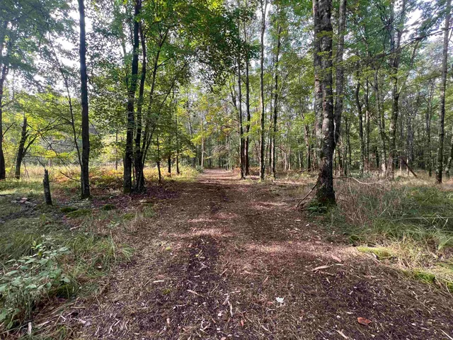 $99,000 | 10.32-acres Bighorn Drive, Arkdale, WI 54613