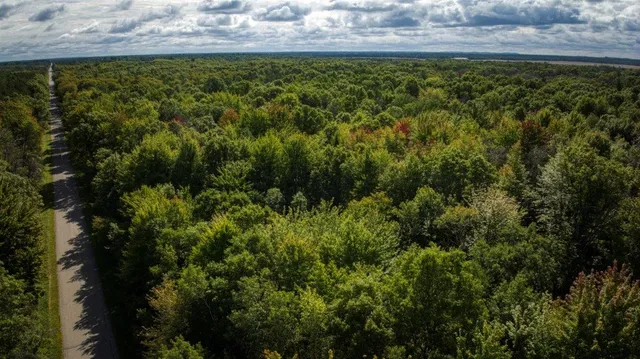 $99,000 | 10.32-acres Bighorn Drive, Arkdale, WI 54613