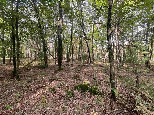 $99,000 | 10.32-acres Bighorn Drive, Arkdale, WI 54613