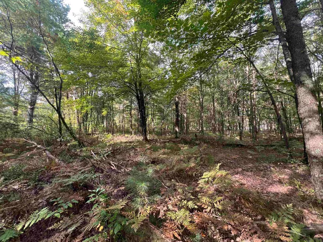 $99,000 | 10.32-acres Bighorn Drive, Arkdale, WI 54613