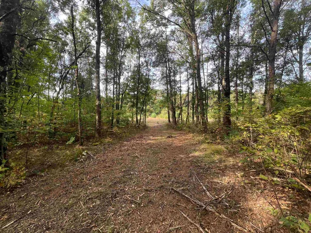 $99,000 | 10.32-acres Bighorn Drive, Arkdale, WI 54613