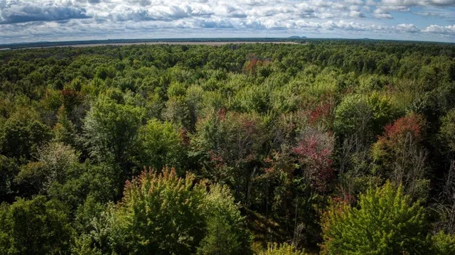 $99,000 | 10.32-acres Bighorn Drive, Arkdale, WI 54613