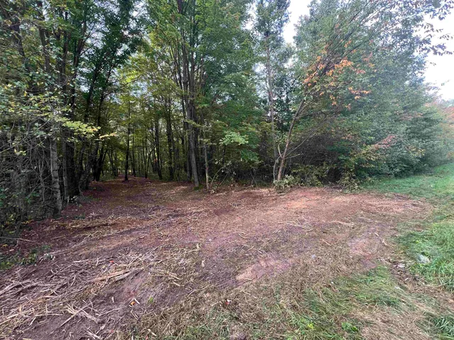 $99,000 | 10.32-acres Bighorn Drive, Arkdale, WI 54613