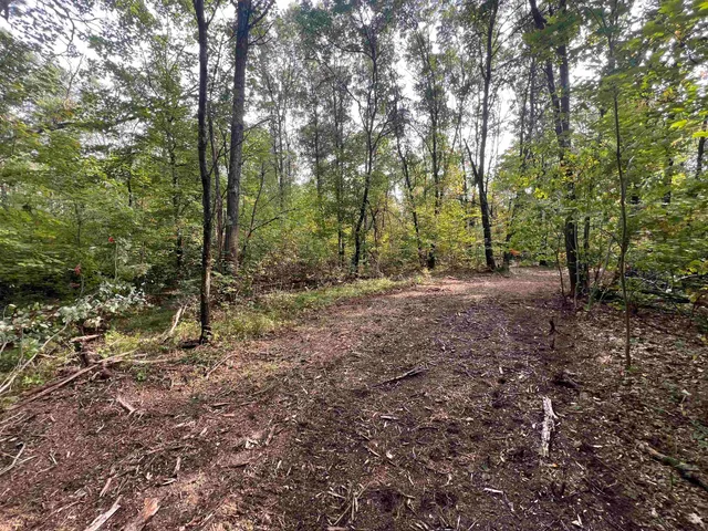 $99,000 | 10.32-acres Bighorn Drive, Arkdale, WI 54613